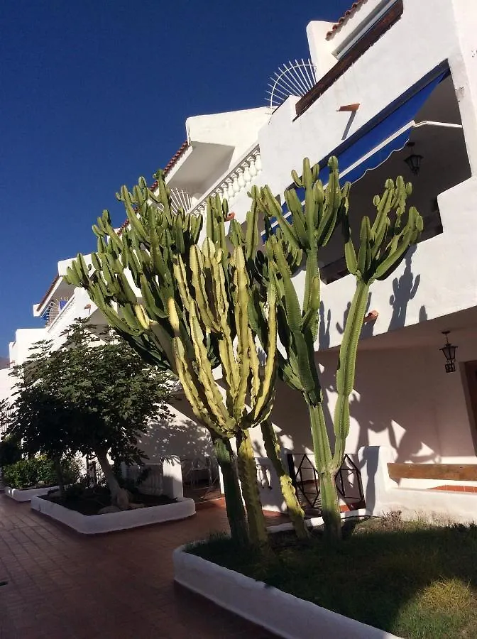 Moderno E Luminoso Studio Port Royal Apartment Los Cristianos  Los Cristianos (Tenerife)